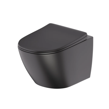 Toilette monopièce O NEW-BK noir mat