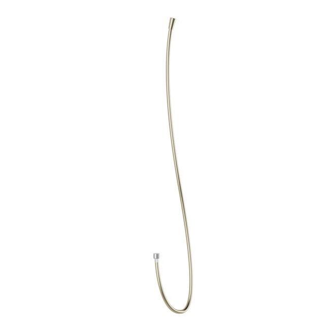 Boyau de douche flexible en Pvc Accent 72 po Nickel pur PVS