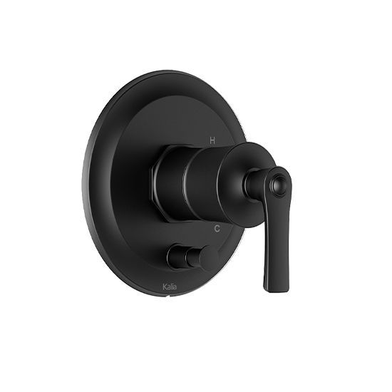 Finition pour valve à pression équilibrée Rustik 3/4 po Noir