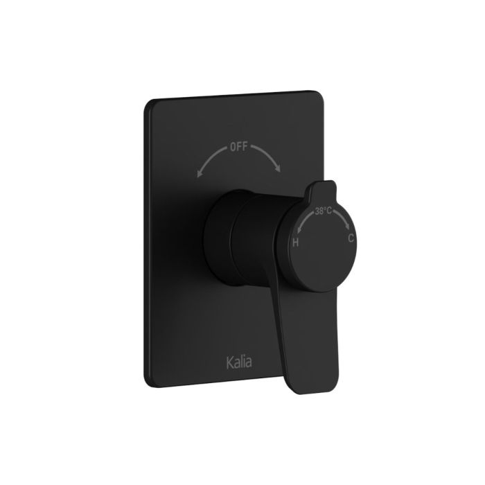 Valve coaxiale Moroka 1/2 po de type Aquatonik avec sélecteur intégré 2 voies Noir mat