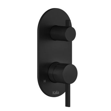 Finition pour valve à pression équilibrée Basico 1/2 po avec contrôle de volume et sélecteur 2 voies (cartouche incluse) Noir mat