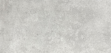 Carreau de porcelaine Fragment Grigio 12 po x 24 po