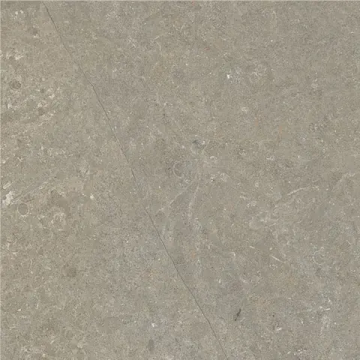 Carreau Arkistyle Fossil naturel 12 po x 24 po