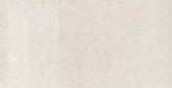 Carreau de porcelaine Rainbow Beige mat 12 po x 24 po