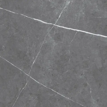 Carreau Leiva Dark Grey mat 24 po x 24 po