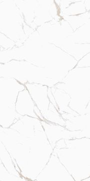 Carreau de porcelaine Zenith Blanc mat 24 po x 48 po