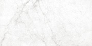 Carreau Antica Carrara White naturel 12 po x 24 po