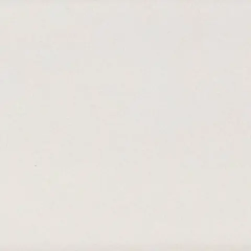 Carreau mural Lanse White mat 2 po x 10 po