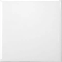 Carreau Projectos Branco lustré 12 po x 12 po