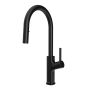 Diver Robinet de cuisine monocommande Masimo Noir mat