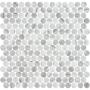 Mosaïque Penny Ecostone Iverno Grey mat 12 po x 12 po