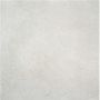 Carreau de porcelaine Rodano Gris Pâle 24 po x 24 po
