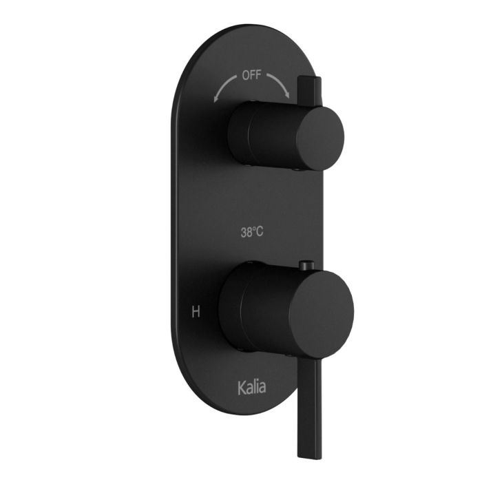 Finition pour valve RoundOne 1/2 po de type Aquatonik avec sélecteur intégré 2 ou 3 voies Noir mat