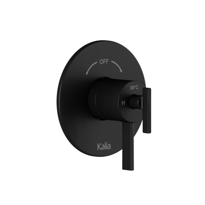 Finition pour valve coaxiale RoundOne 1/2 po de type Aquatonik avec sélecteur intégré 2 voies Noir mat