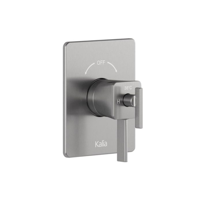 Finition pour valve coaxiale SquareOne 1/2 po de type Aquatonik avec sélecteur intégré 2 voies Nickel pur PVS