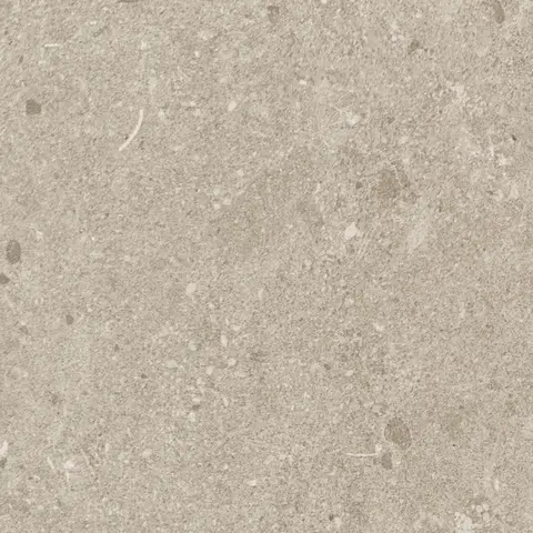 Carreau Freestone Dark Beige mat 12 po x 24 po