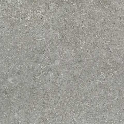 Carreau Freestone Dark Grey mat 12 po x 24 po