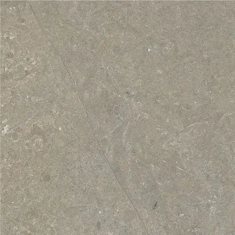 Carreau Arkistyle Fossil naturel 12 po x 24 po