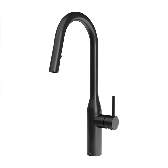 Robinet de cuisine monocommande Kaviar 3/8 po Noir mat