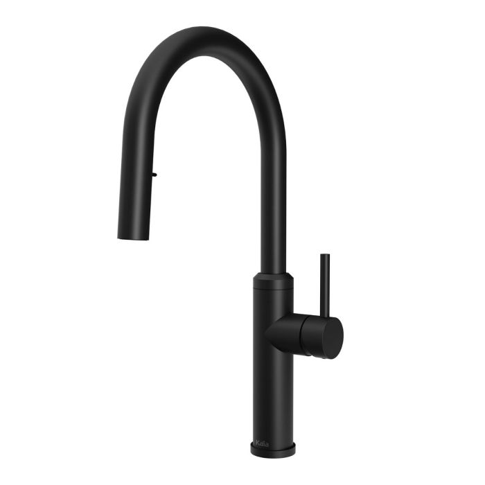 Diver Robinet de cuisine monocommande Enora Noir mat