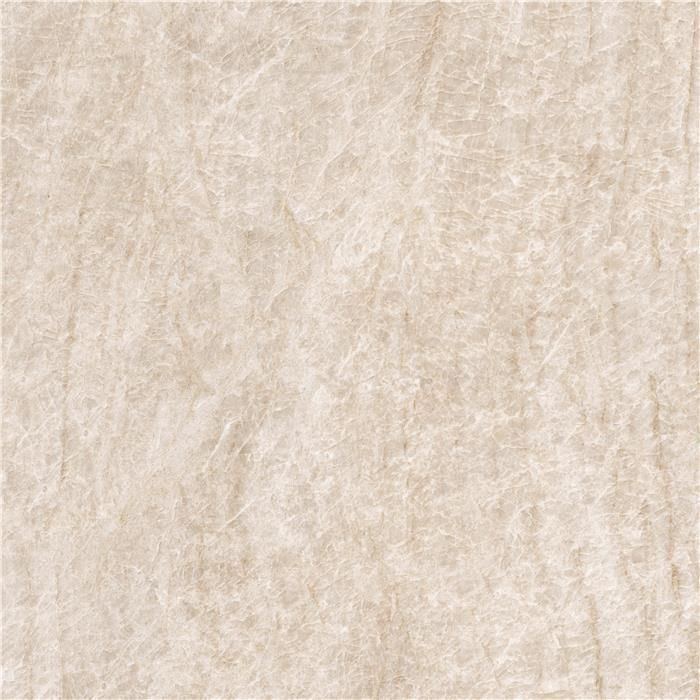 Carreau de porcelaine Palace Naturel satiné 24 po x 24 po