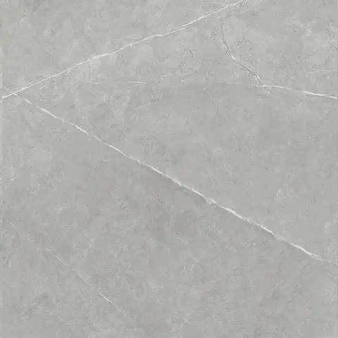 Carreau Leiva Grigio mat 24 po x 24 po