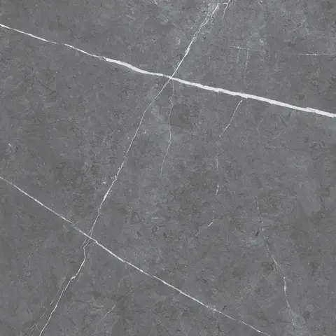 Carreau Leiva Dark Grey poli 12 po x 24 po