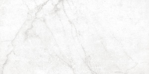 Carreau Antica Carrara White naturel 12 po x 24 po