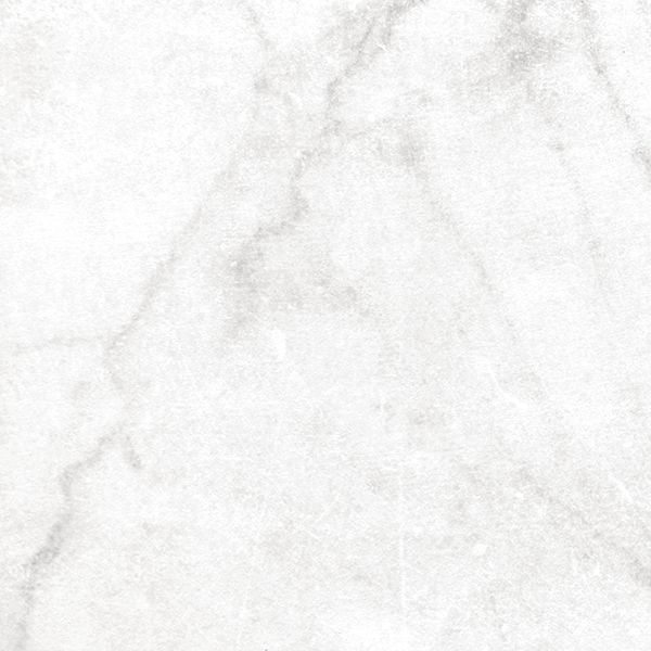 Carreau Antica Carrara White naturel 24 po x 24 po