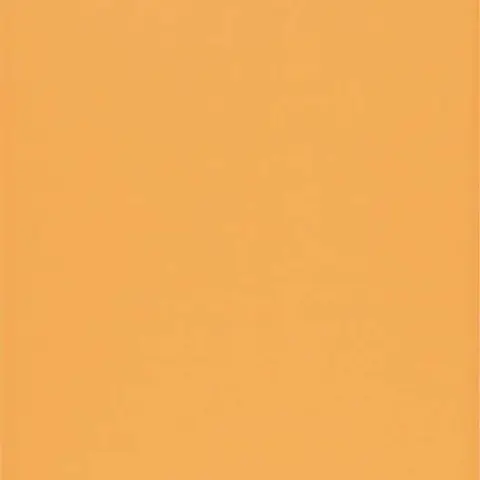 Carreau mural Design Positive Curcuma 18 mat 8 po x 20 po