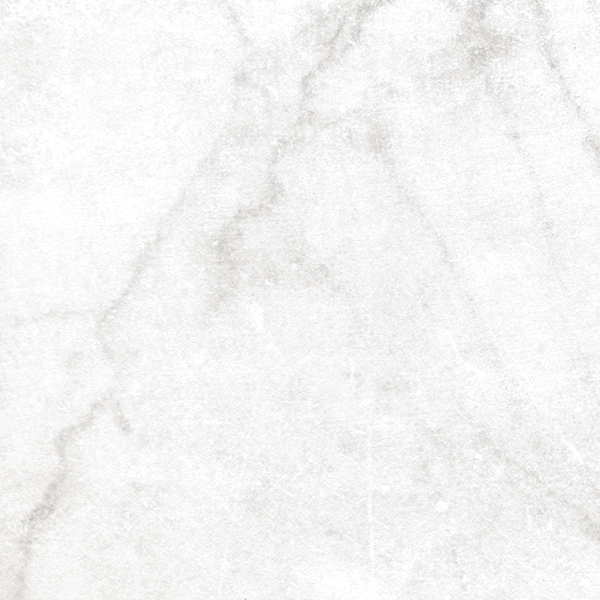 CARREAUX DE PORCELAINE ANTICA - 24 po x 24 po x 9.5 mm - CARRARA WHITE - Boite de 3 morceaux